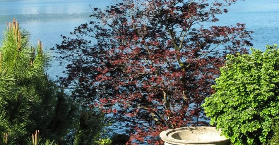 Somptueuse maison du 19ème siècle à vendre au centre de Montreux