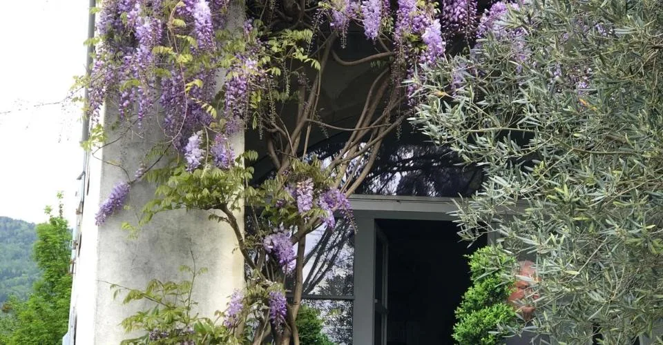 Magnifique maison de village