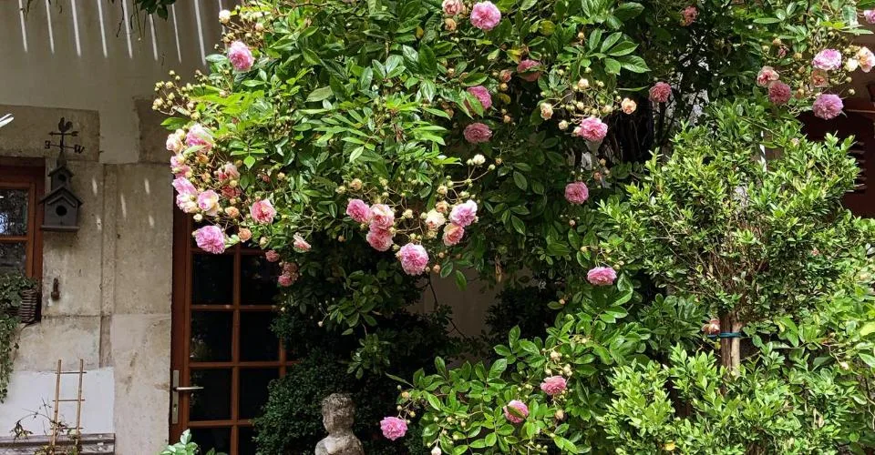 Magnifique maison de village