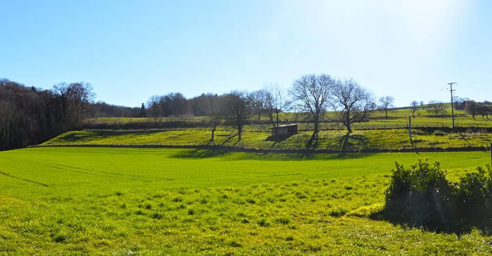 DOMAINE ÉQUESTRE DE CHARME