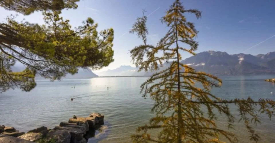 Au bord du lac - Appartement remis à neuf en exclusivité