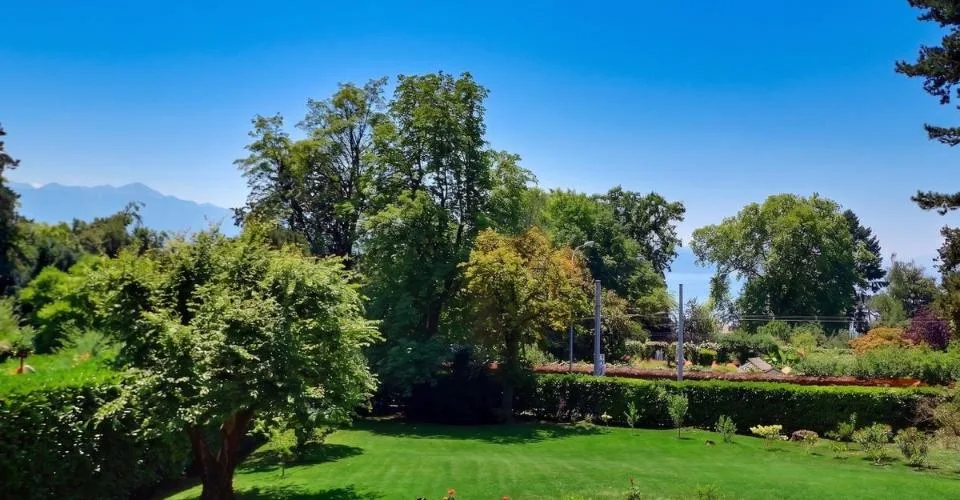MAGNIFIQUE MAISON INDIVIDUELLE AVEC UN GRAND TERRAIN ET UNE BELLE VUE AU SUD DE LAUSANNE – Foto 10 von 13