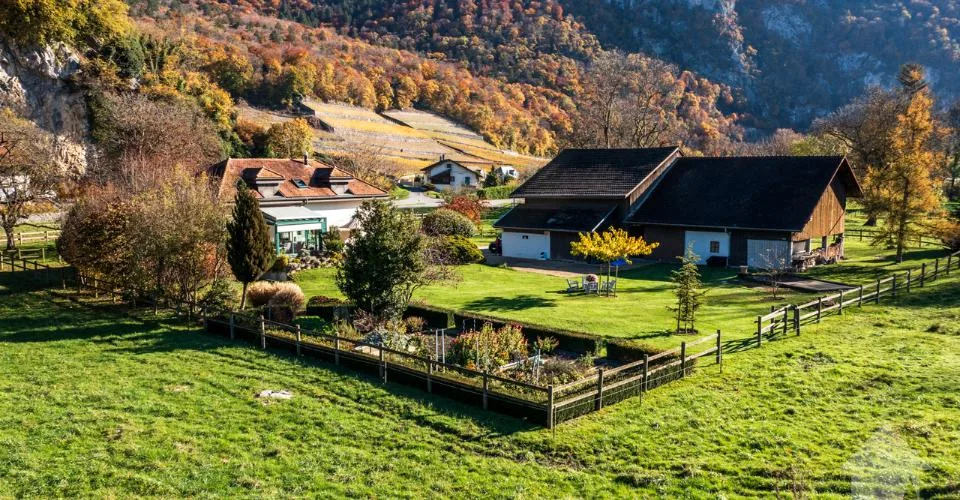 Chablais vaudois - villa et rural idéal pour chevaux
