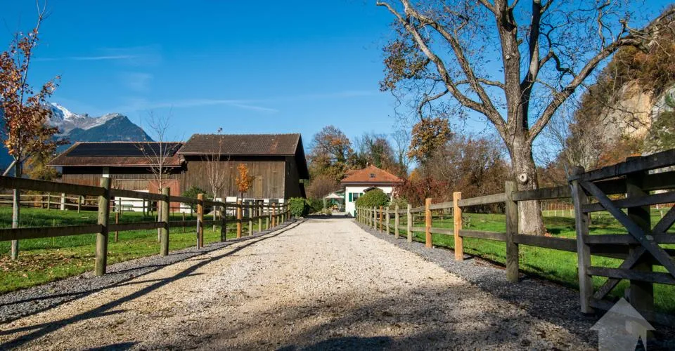 Chablais vaudois - villa et rural idéal pour chevaux