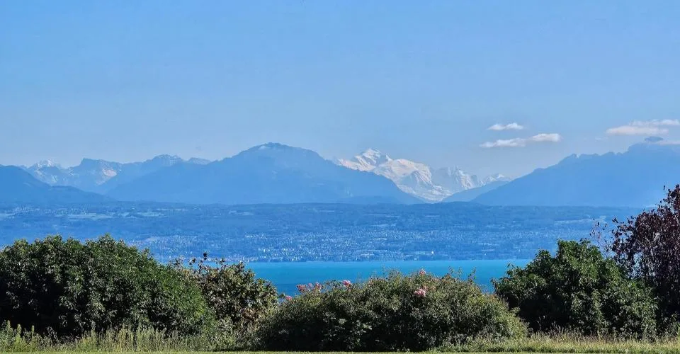 Domaine surplombant le bassin Lémanique