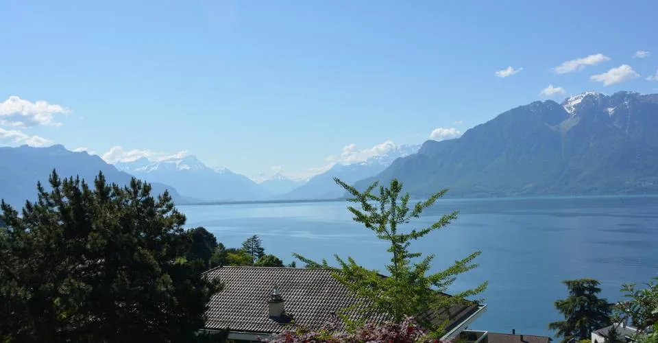 Proche Vevey, nouveau projet de 3 villas de 5.5 pces - vue panoramique