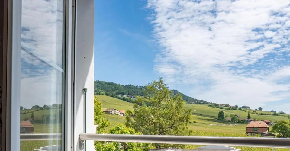 Appartement en attique avec vue lac et vignes