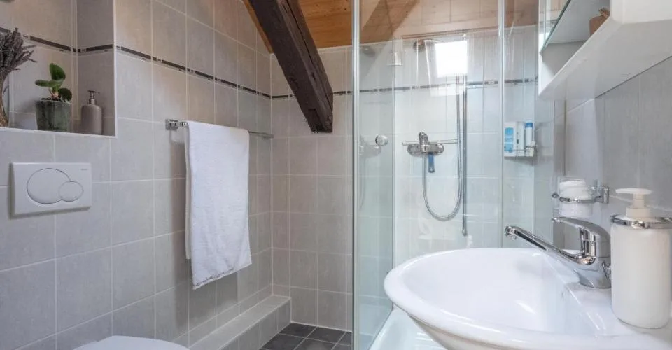 Appartement en attique avec vue lac et vignes