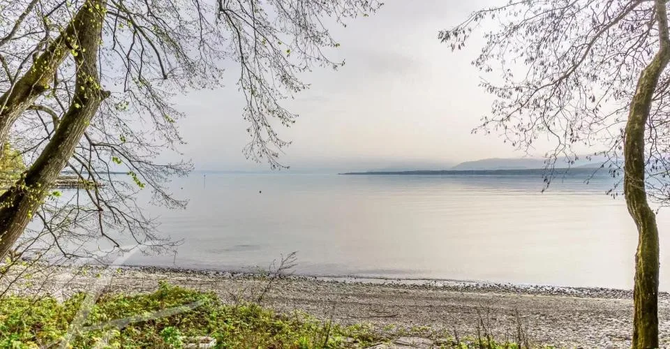 Villa pieds dans l'eau avec parcelle de 7'585m2 – Foto 4 von 13