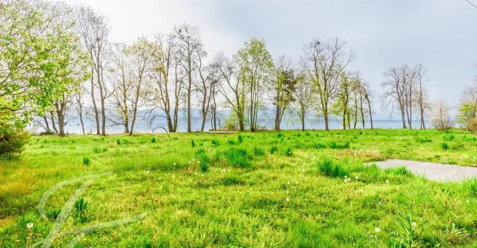 Villa pieds dans l'eau avec parcelle de 7'585m2 – Foto 2 von 13