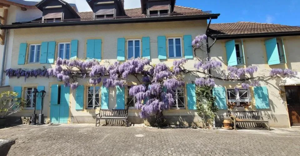 Maison de village pleine de charme avec cachet unique