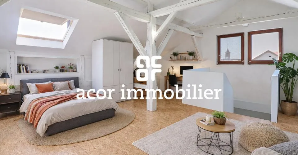 Immeuble de caractère avec jardin, piscine et revenu locatif