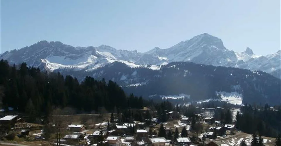 Du propriétaire : Ancien Chalet locatif à transformer à Arveyes - Villars-sur-Ollon pouvant atteindre 6 appartements