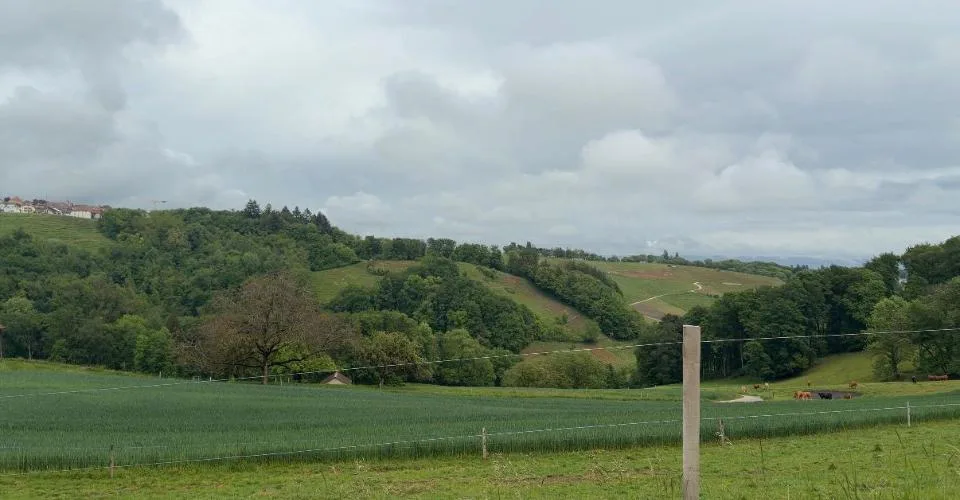 A vendre: Maison individuelle de 3,5pcs à Aubonne
