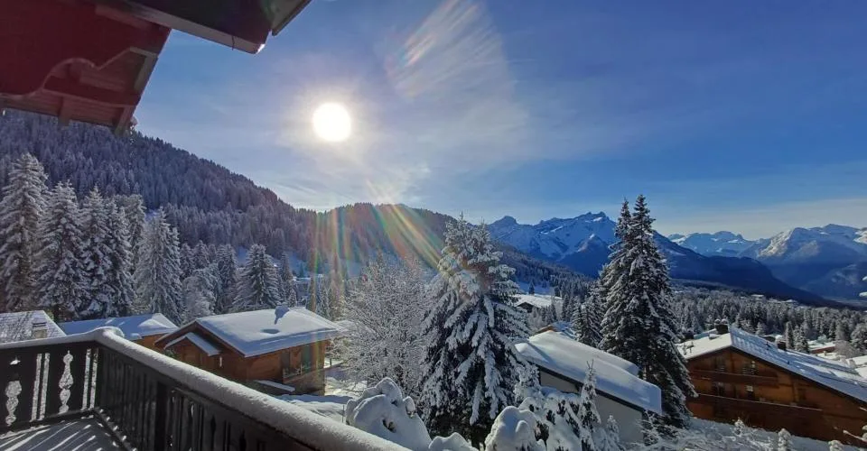 Chalet de 3 étages au Domaine de la résidence avec vue panoramique sur les Alpes. – photo 6 sur 13