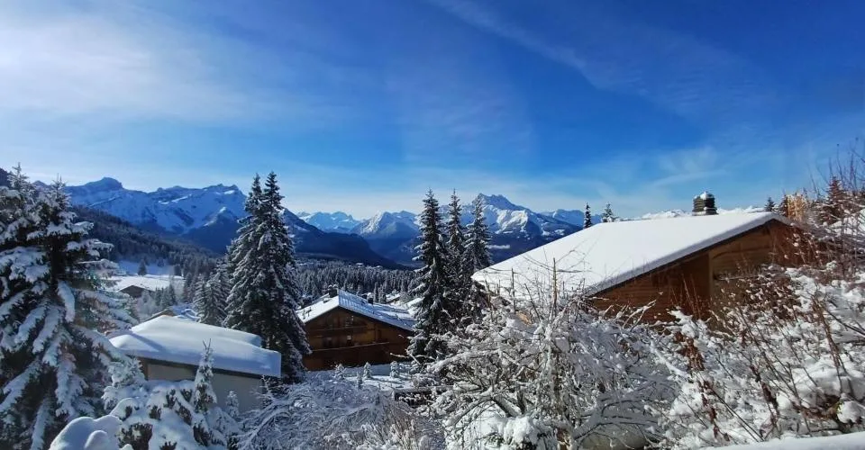 Chalet de 3 étages au Domaine de la résidence avec vue panoramique sur les Alpes. – photo 7 sur 13