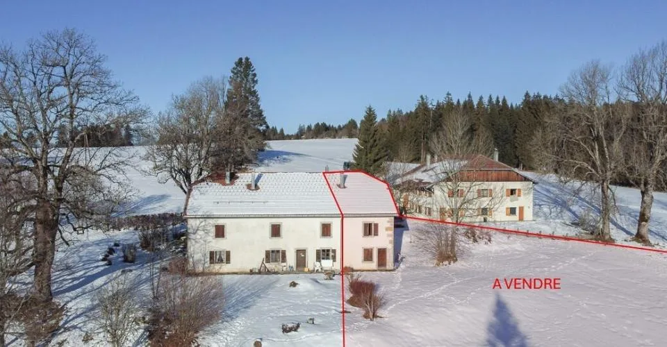 Bâtisse mitoyenne historique sur terrain agricole de 17'197 m2 – Foto 3 von 13