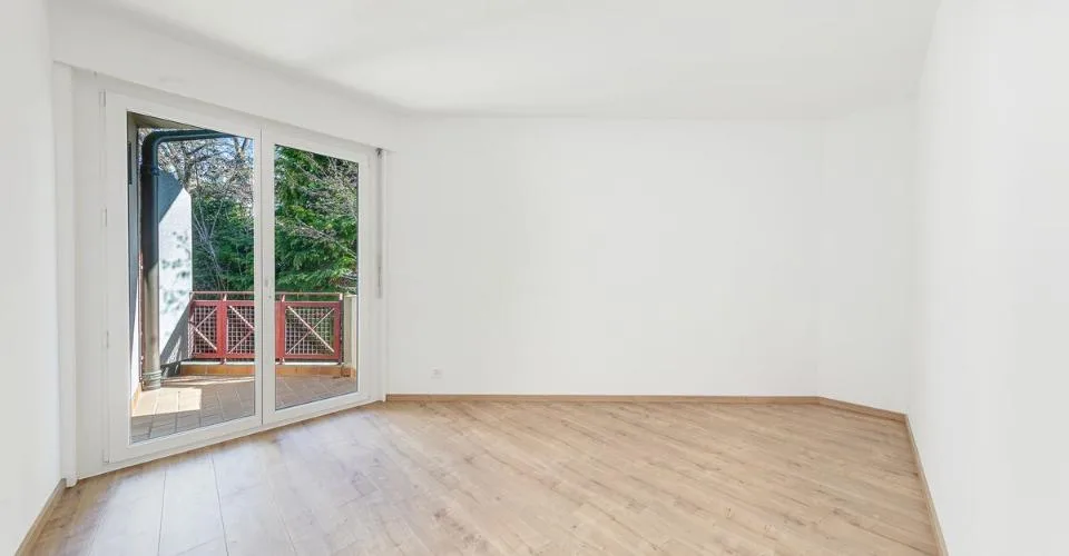 Appartement rénové de 5.5 pièces + studio indépendant