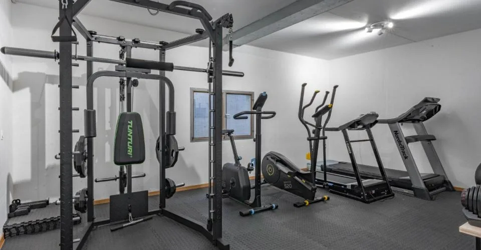 Triplex + sous sol familial rénové