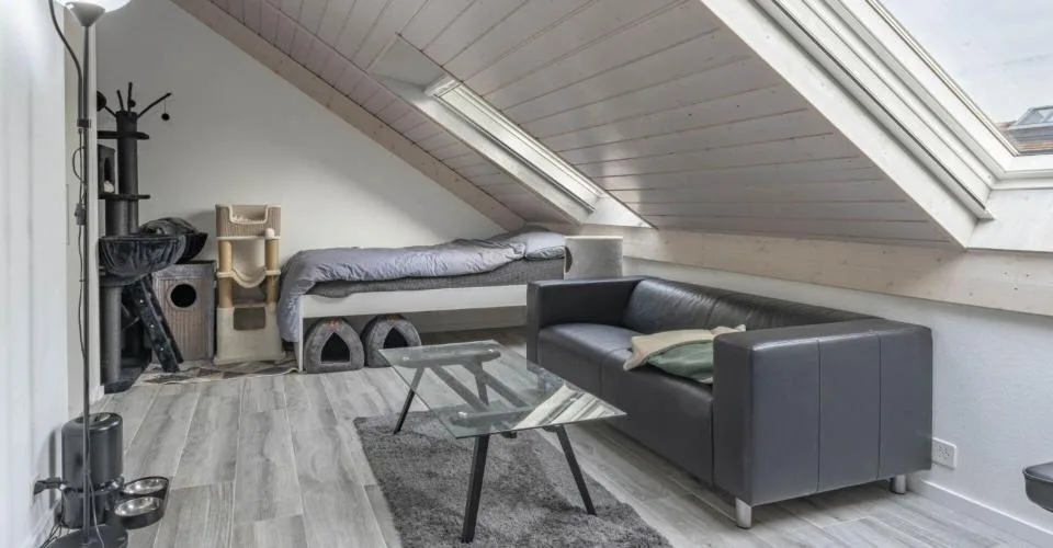 Triplex + sous sol familial rénové