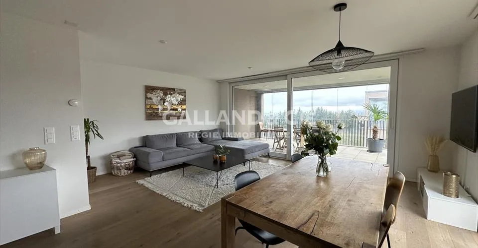 3.5 pièces avec grande terrasse-loggia