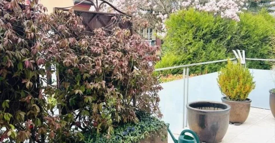 Vente - Appartement Nyon