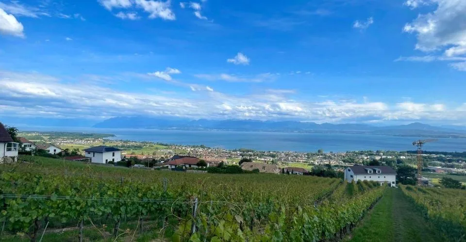 VENTE CONFIDENTIELLE SUR LA CÔTE VAUDOISE
