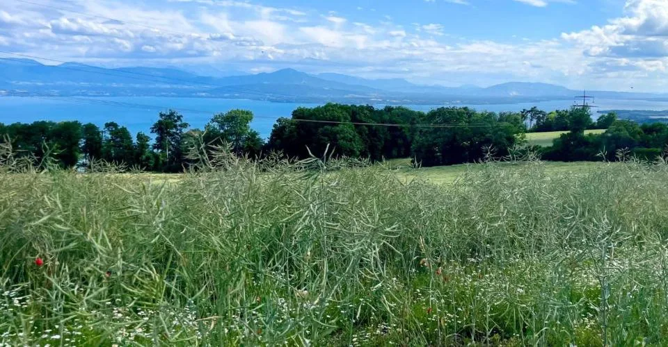 VENTE CONFIDENTIELLE SUR LA CÔTE VAUDOISE