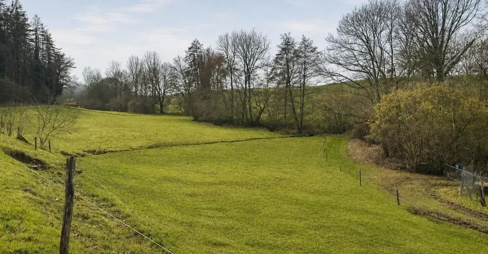Entre forêt et campagne ? Charmant e propriété de 7 PCS avec terrain a