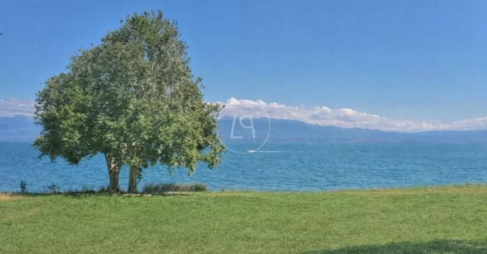 Projet d'une luxueuse villa contemporaine pied dans l'eau, Rolle – photo 8 sur 13