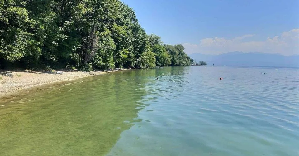 Pavillon de charme "pieds dans l'eau" de 3.5 pièces à Allaman