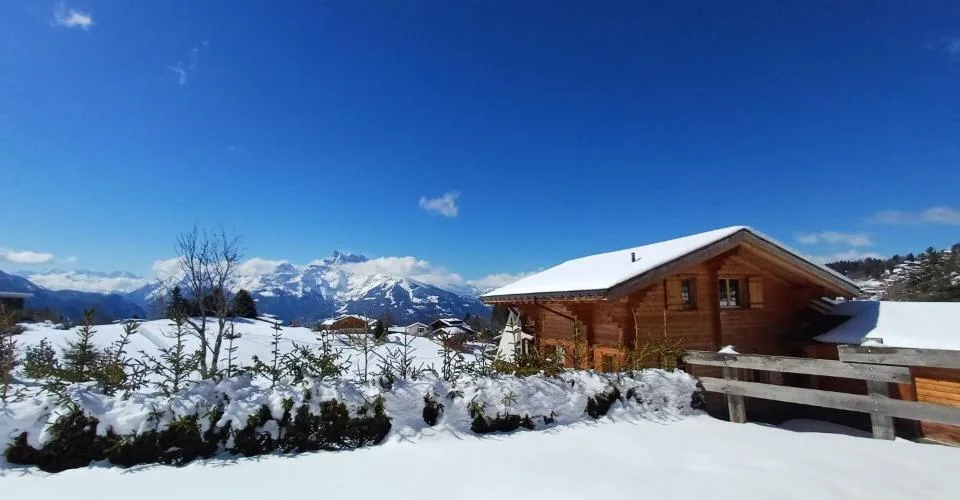 Chalet 6 pièces à Villars-sur-Ollon – photo 7 sur 13