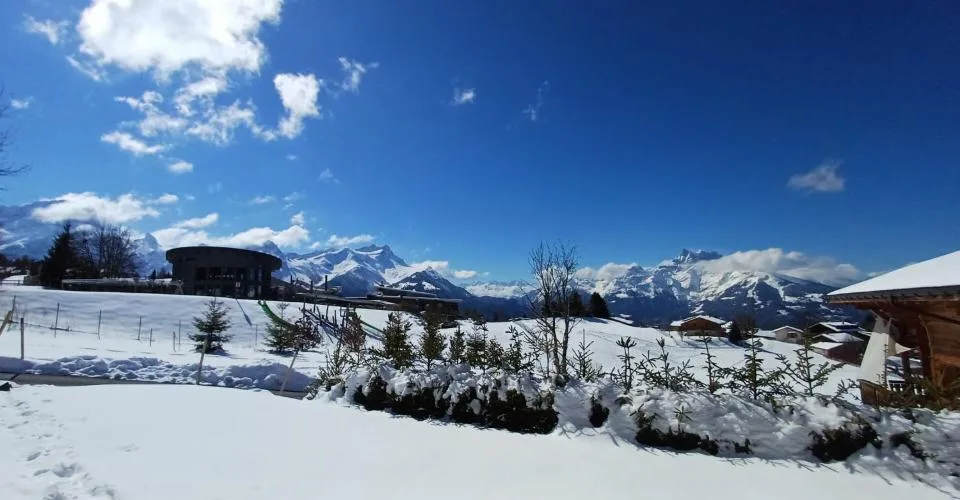 Chalet 6 pièces à Villars-sur-Ollon – photo 6 sur 13