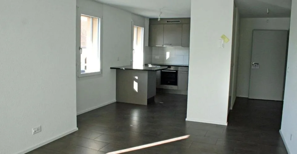 Appartement de 3 pièces avec grand balcon