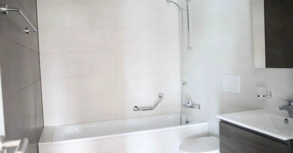 Appartement de 3 pièces avec grand balcon