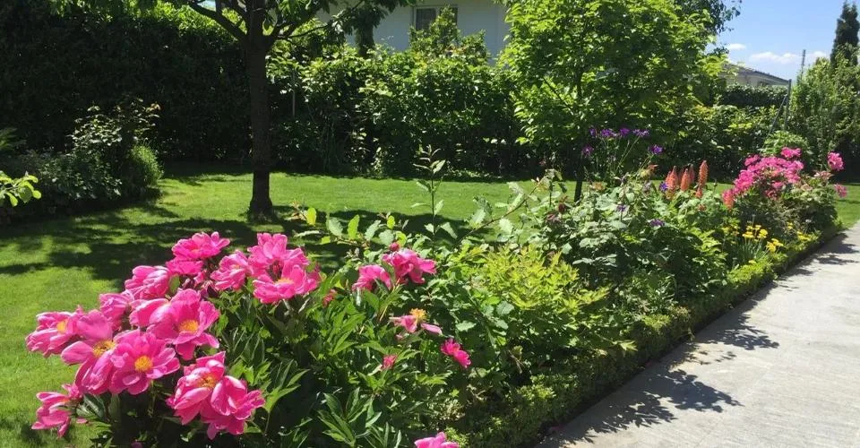 Charmante maison avec jardin fleuri à Coppet