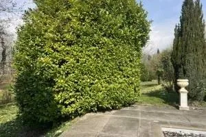 Charmante maison avec jardin fleuri à Coppet