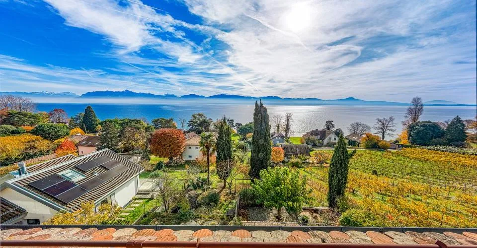 Rare : Un bijou de maison de village rénovée face au lac