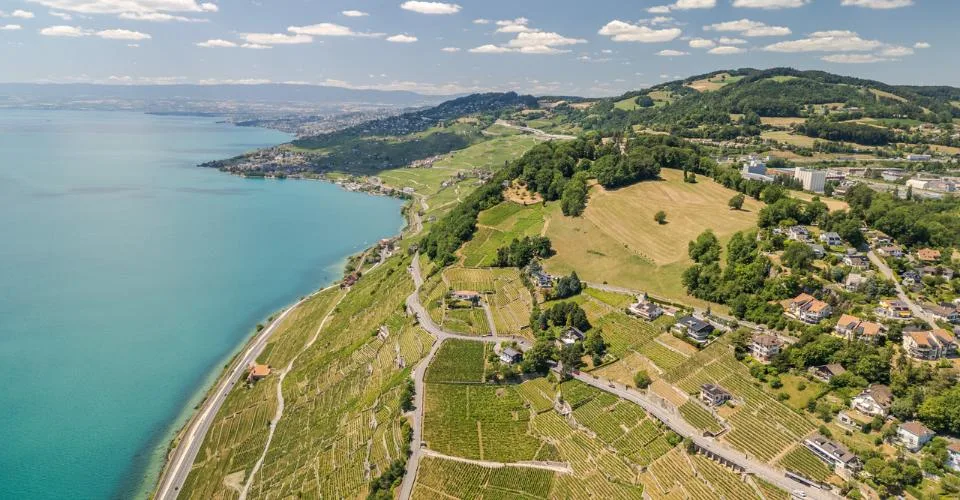 Appartement de 5.5 pièces Magnifique vue lac