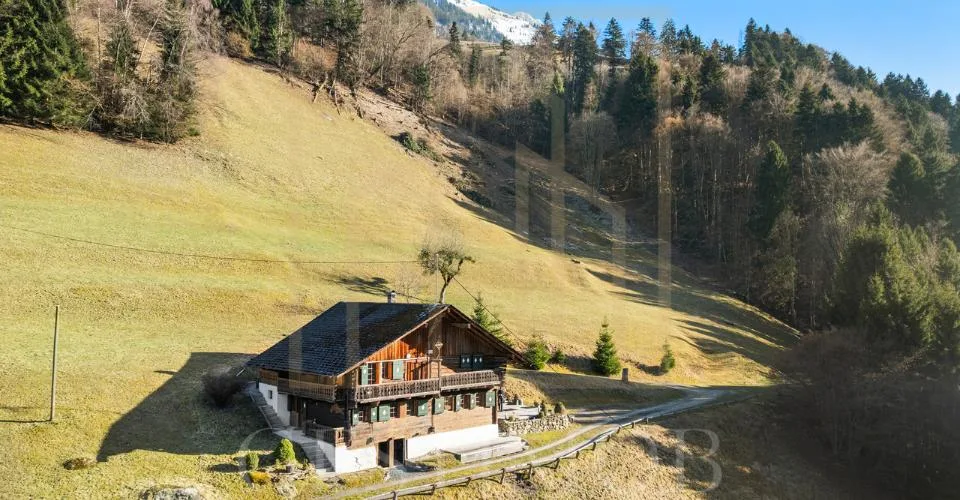 Exclusivité : Magnifique chalet authentique avec potentiel