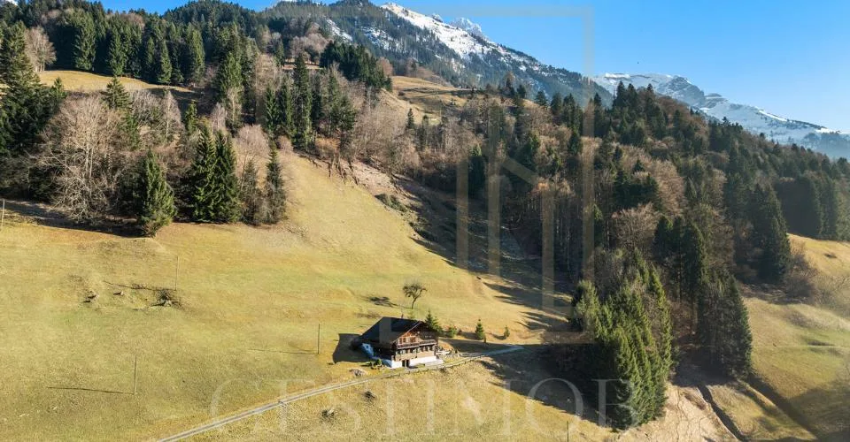 Exclusivité : Magnifique chalet authentique avec potentiel
