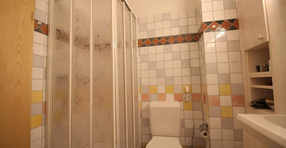 3.5-11, Appartement mansardé de 3.5 pièces de style campagnard avec galerie et belle vue