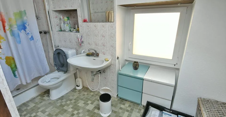 A saisir à Chamoson/VS, propriété composée de 3.5 parcelles, 1 maison et 1 grange