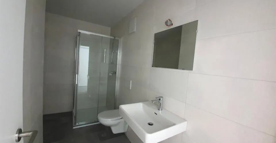 Appartement de 1.5 au 2ème étage - lot 48 GALDI à Steg