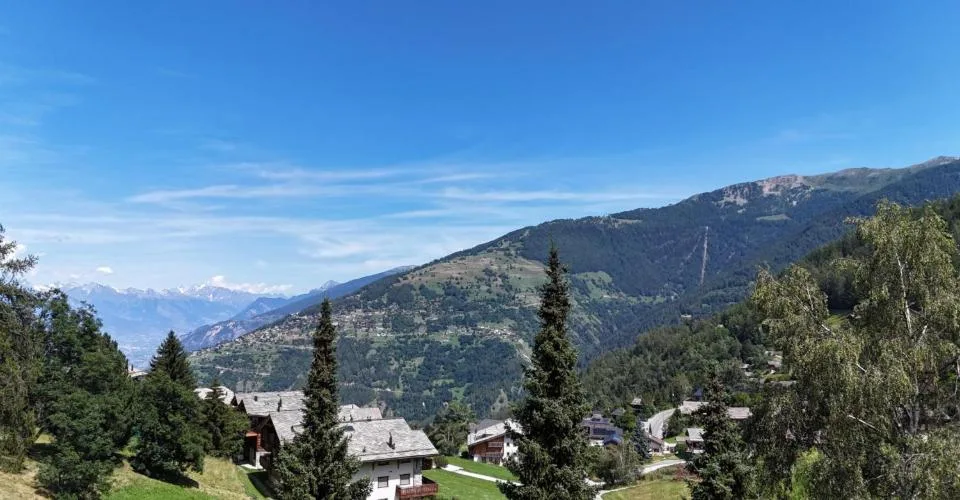 Bel appartement 4.5 pièces au centre de Haute-Nendaz