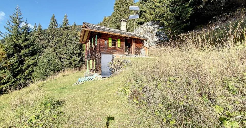 A VENDRE CHALET DE 3 PIECES AUX MAYENS DE SARREYER – Foto 10 von 13