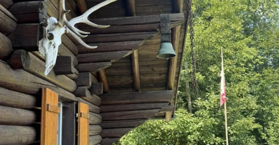 Chalet en rondins d'épicéa dans un écrin de verdure, avec vue sur la plaine du Rhône