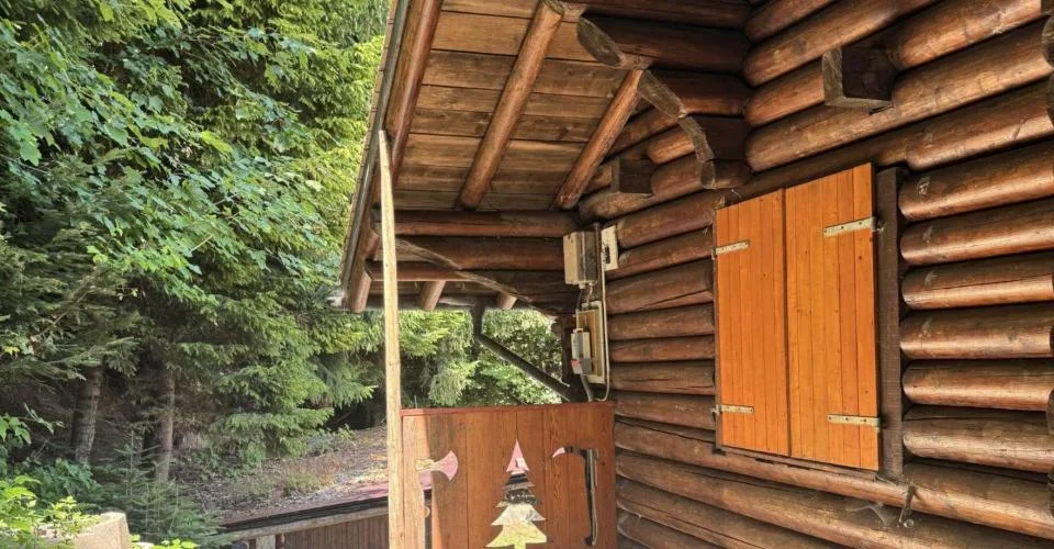 Chalet en rondins d'épicéa dans un écrin de verdure, avec vue sur la plaine du Rhône