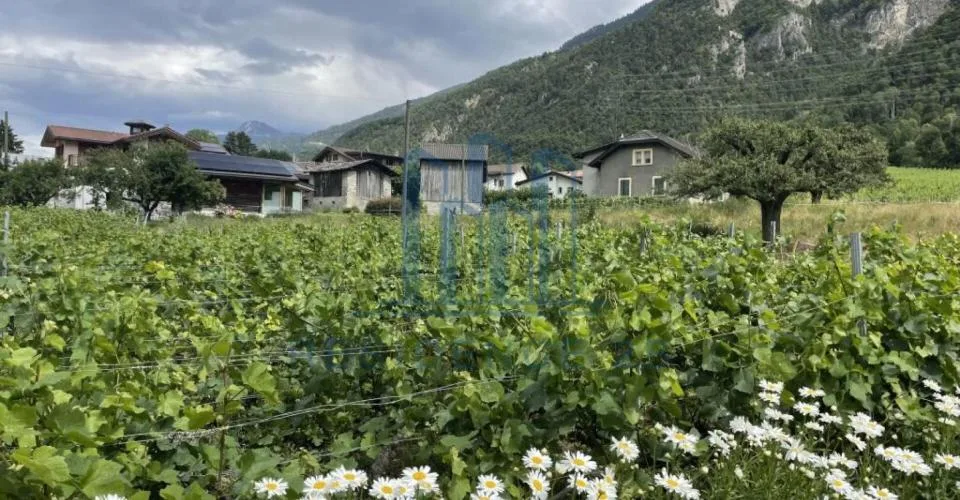 Villa neuve à 7 min de Sion