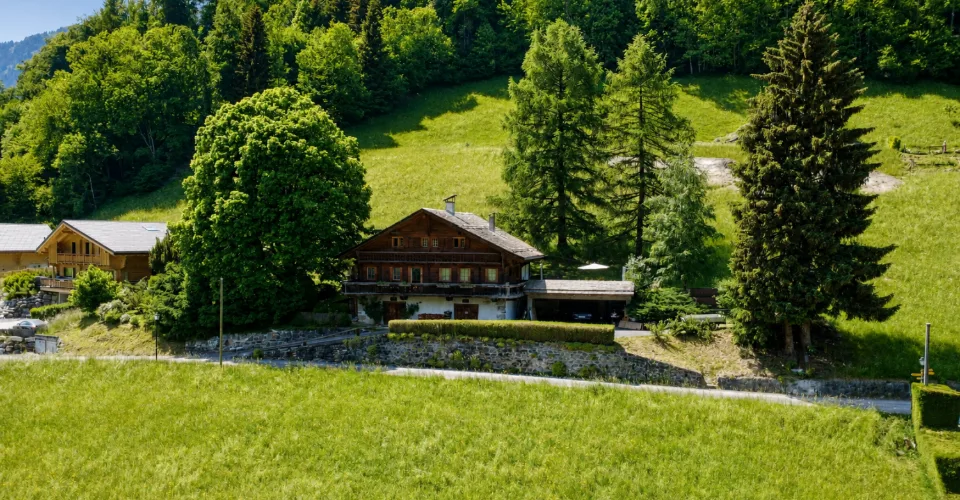 Magnifique chalet avec vue sur les Dents-du-Midi